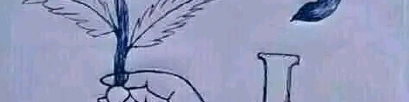 User Cover